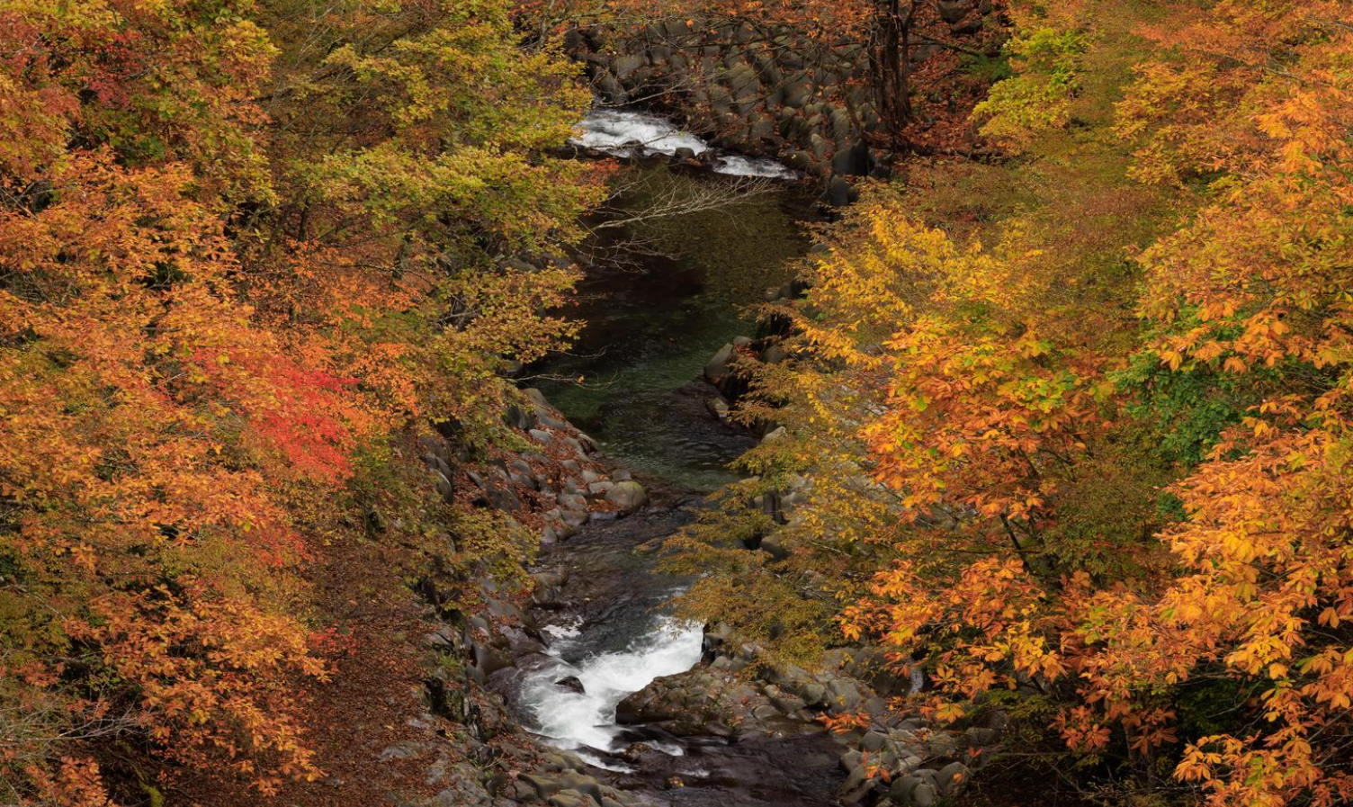 シルバーウィークどこいくべき：おすすめの旅行先10選